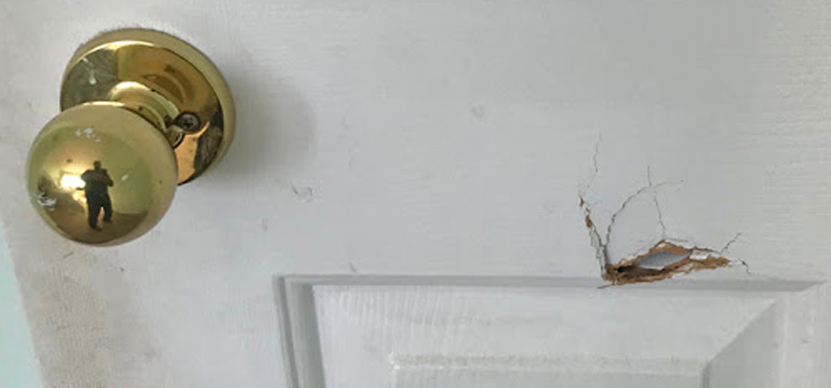 interior door hole repair Nuevo