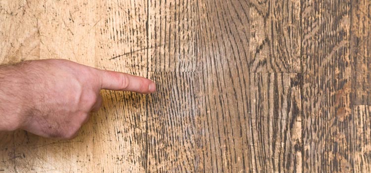 Wood Door Scratch Repair in Nuevo